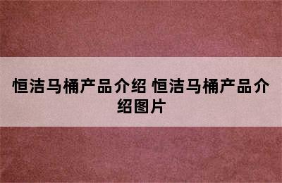 恒洁马桶产品介绍 恒洁马桶产品介绍图片